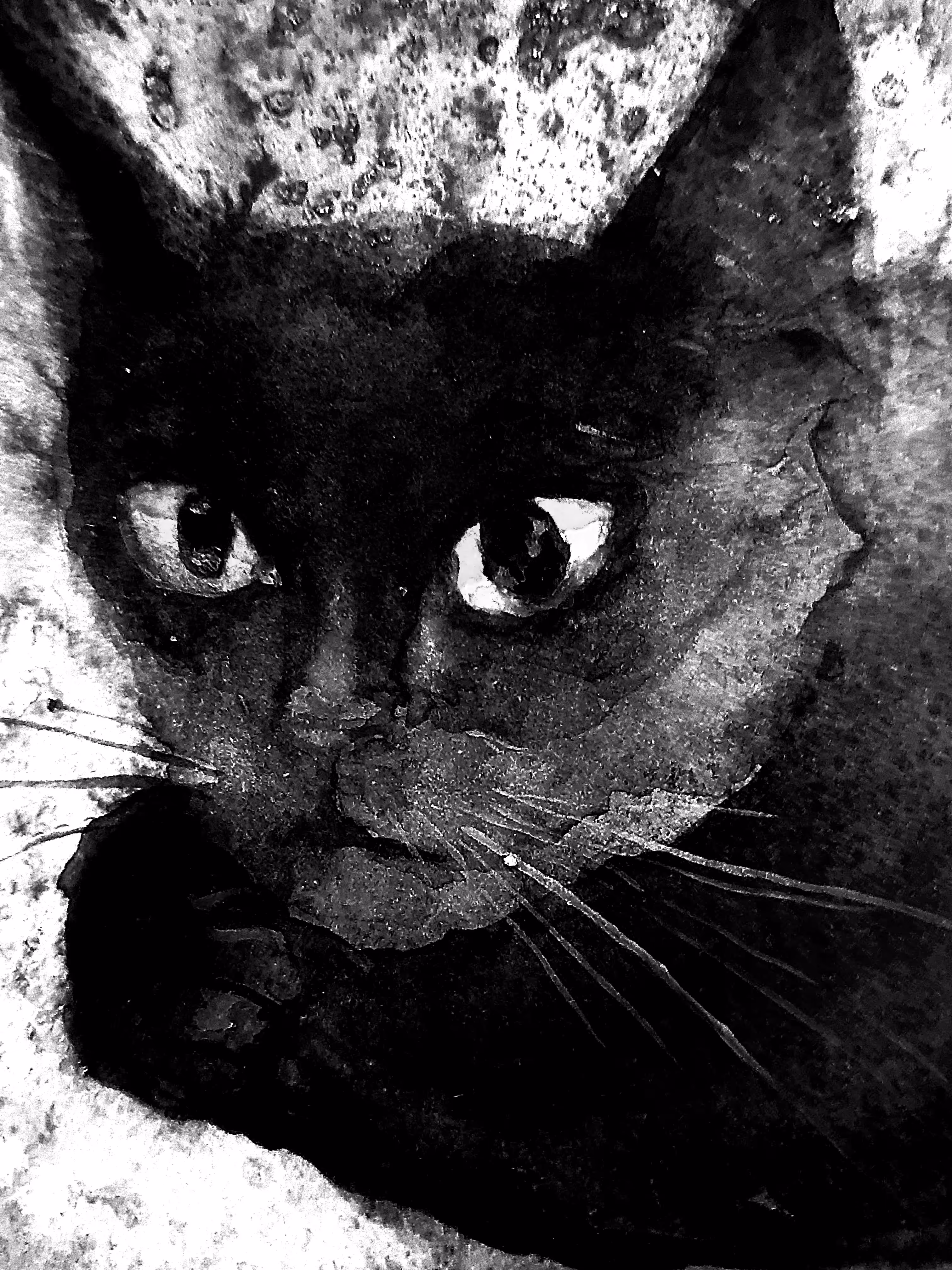 on the hunt