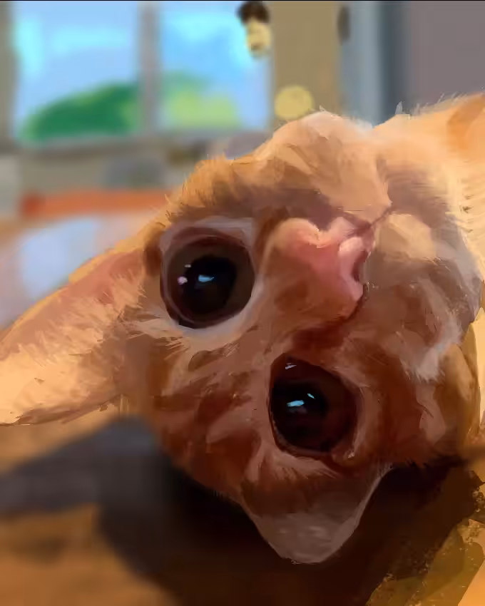 CAT 3