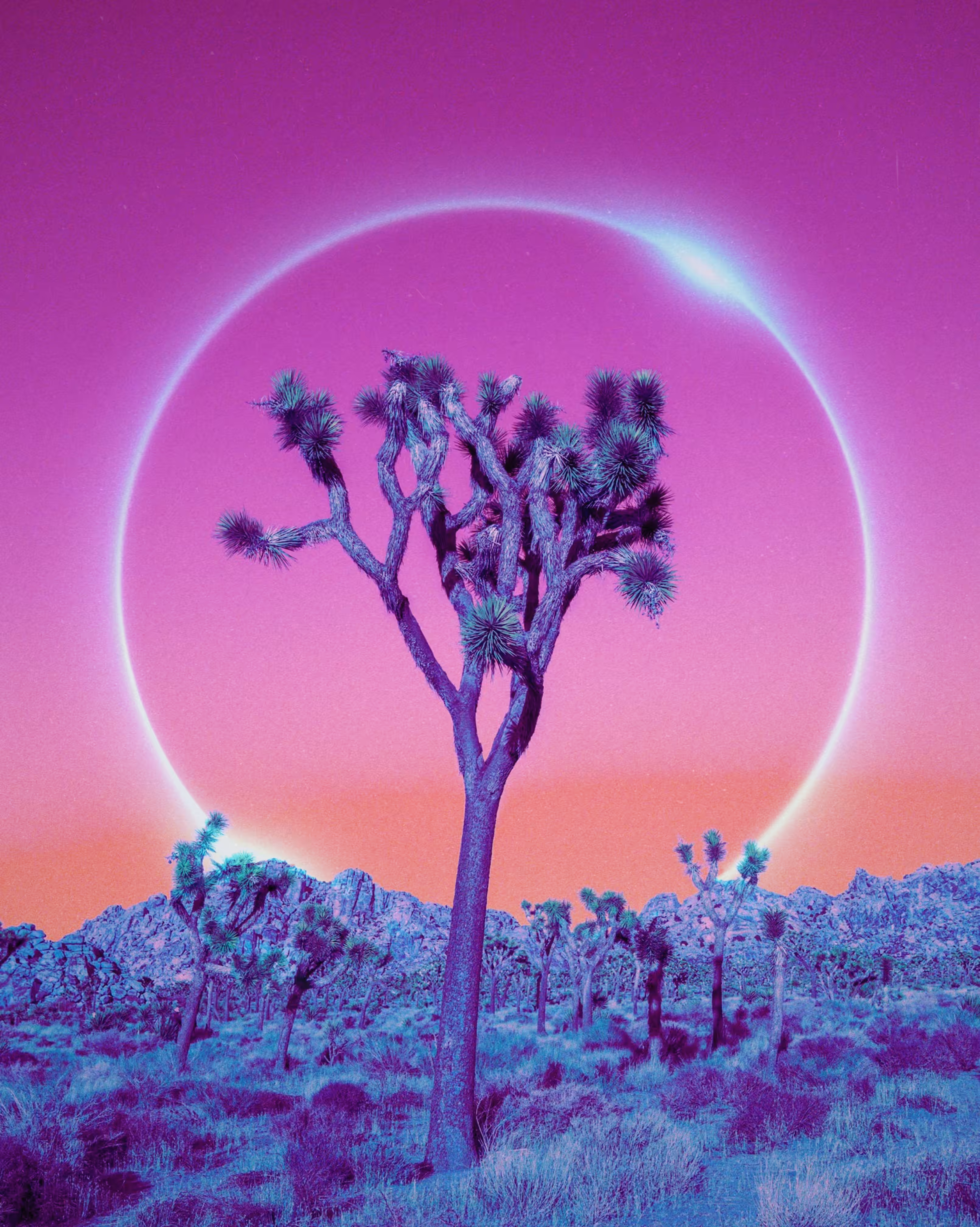 halo