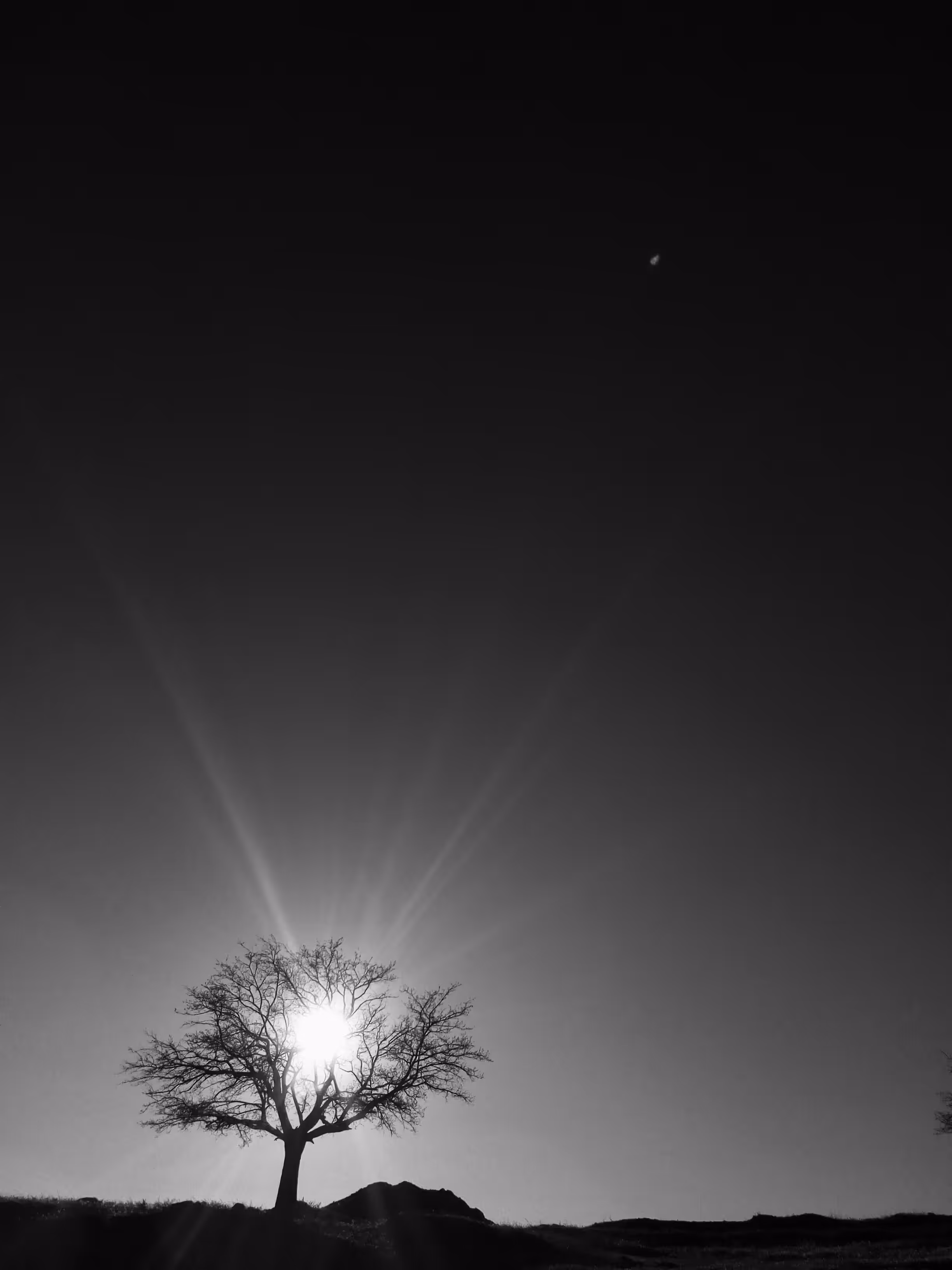 Light In Darkness
