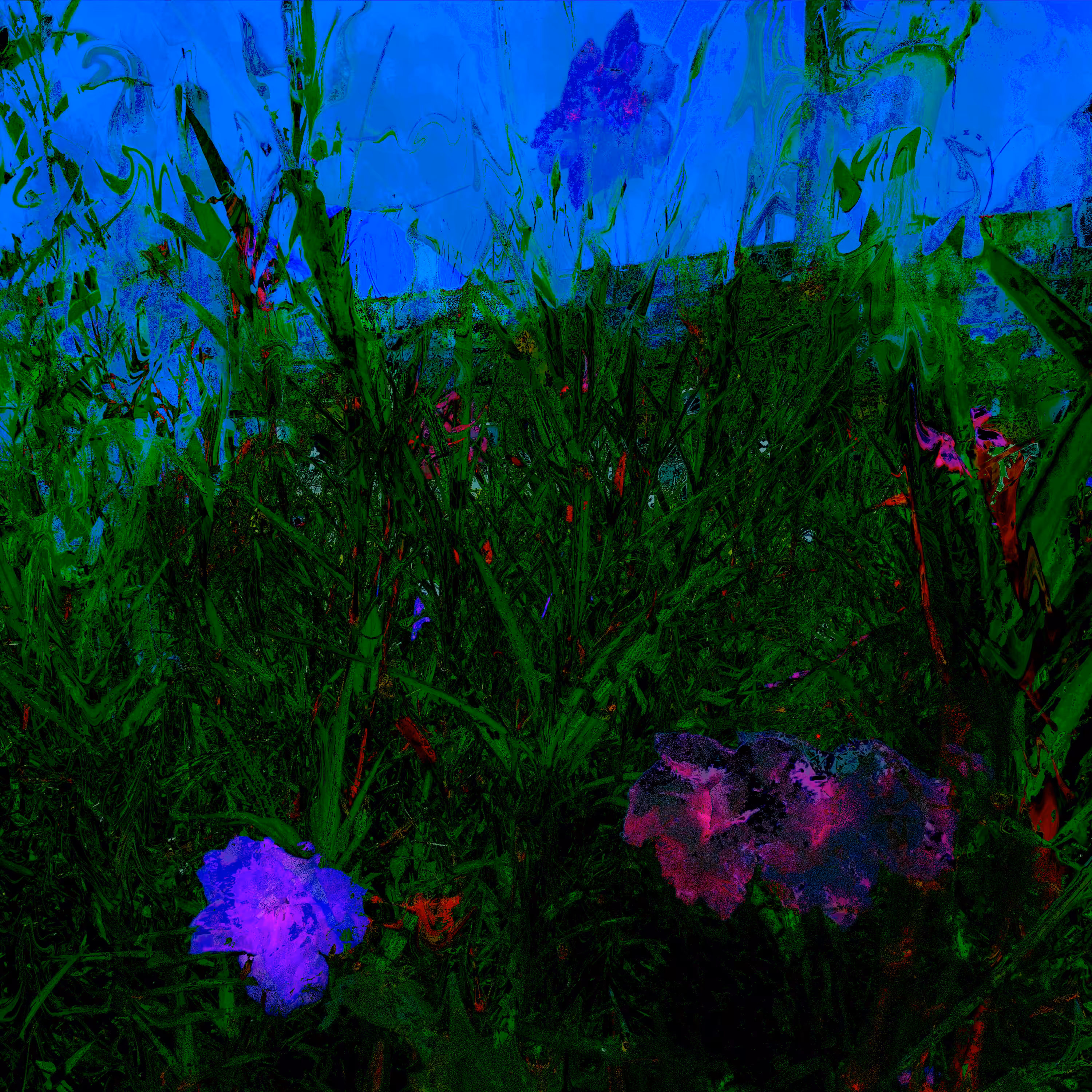 Augment Blue