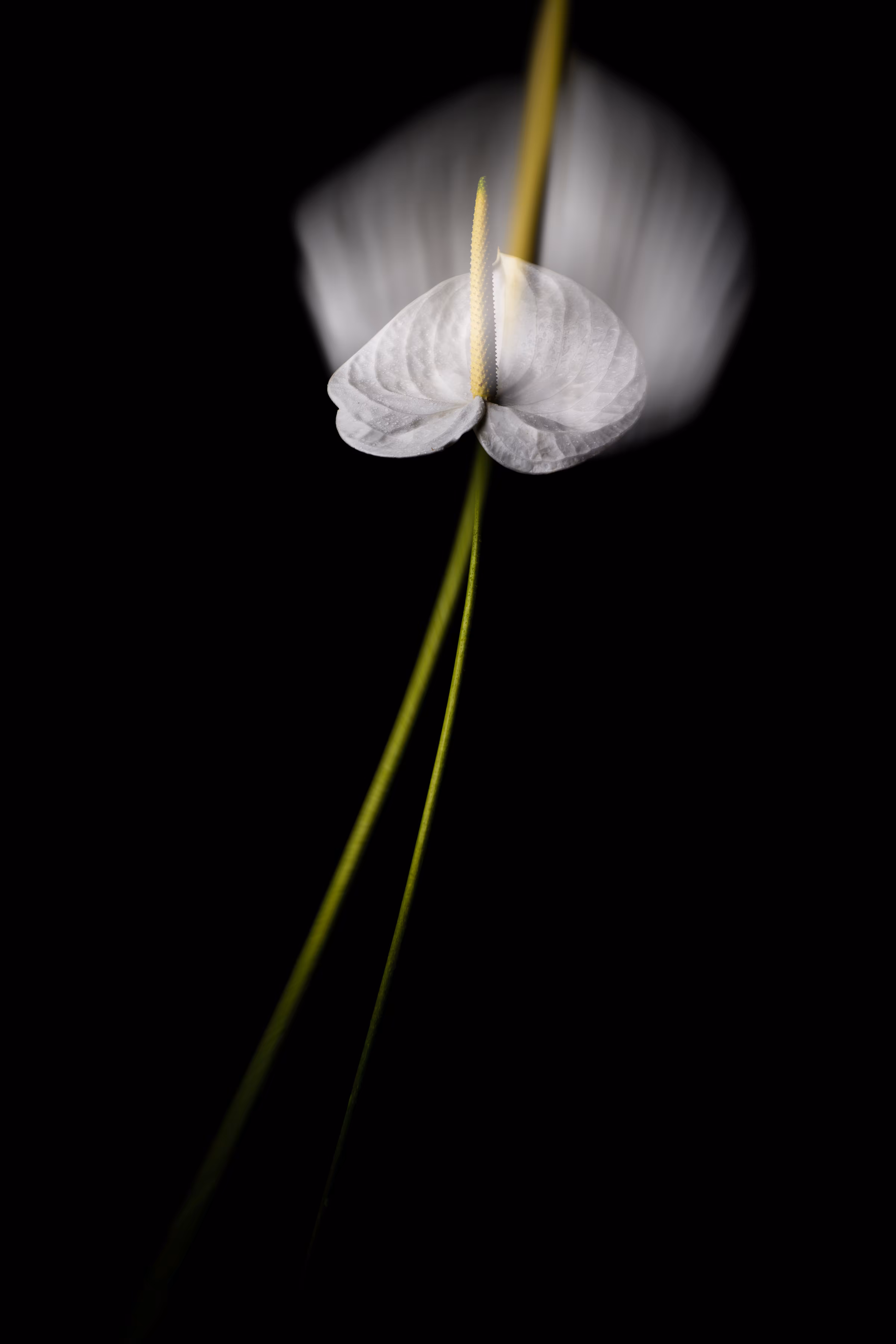 When the soul is separated