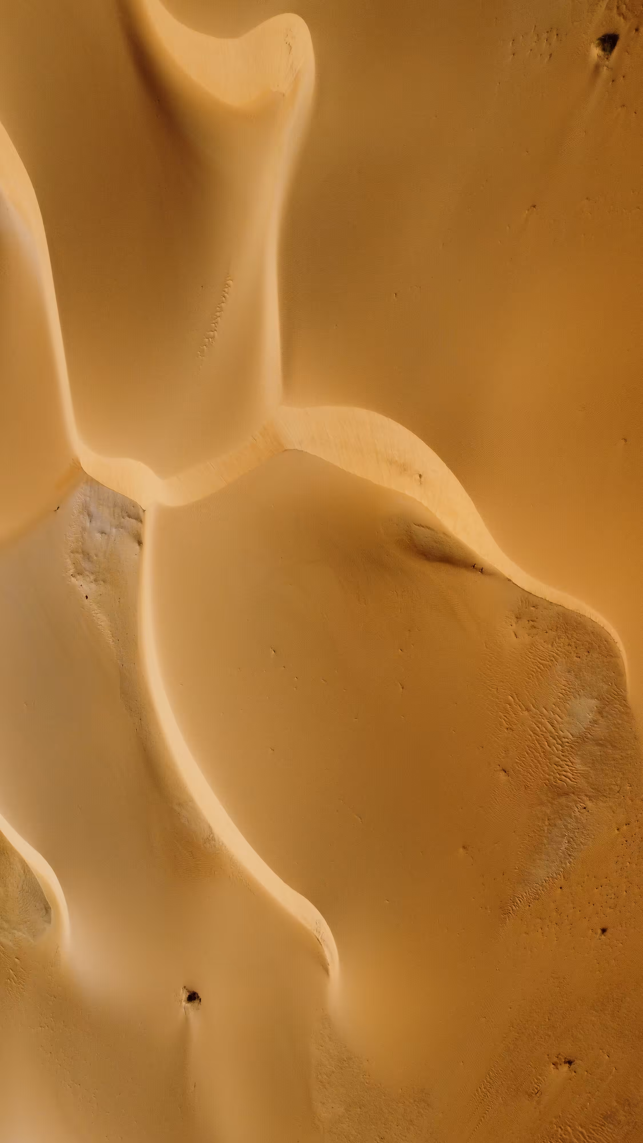Sandy Cream