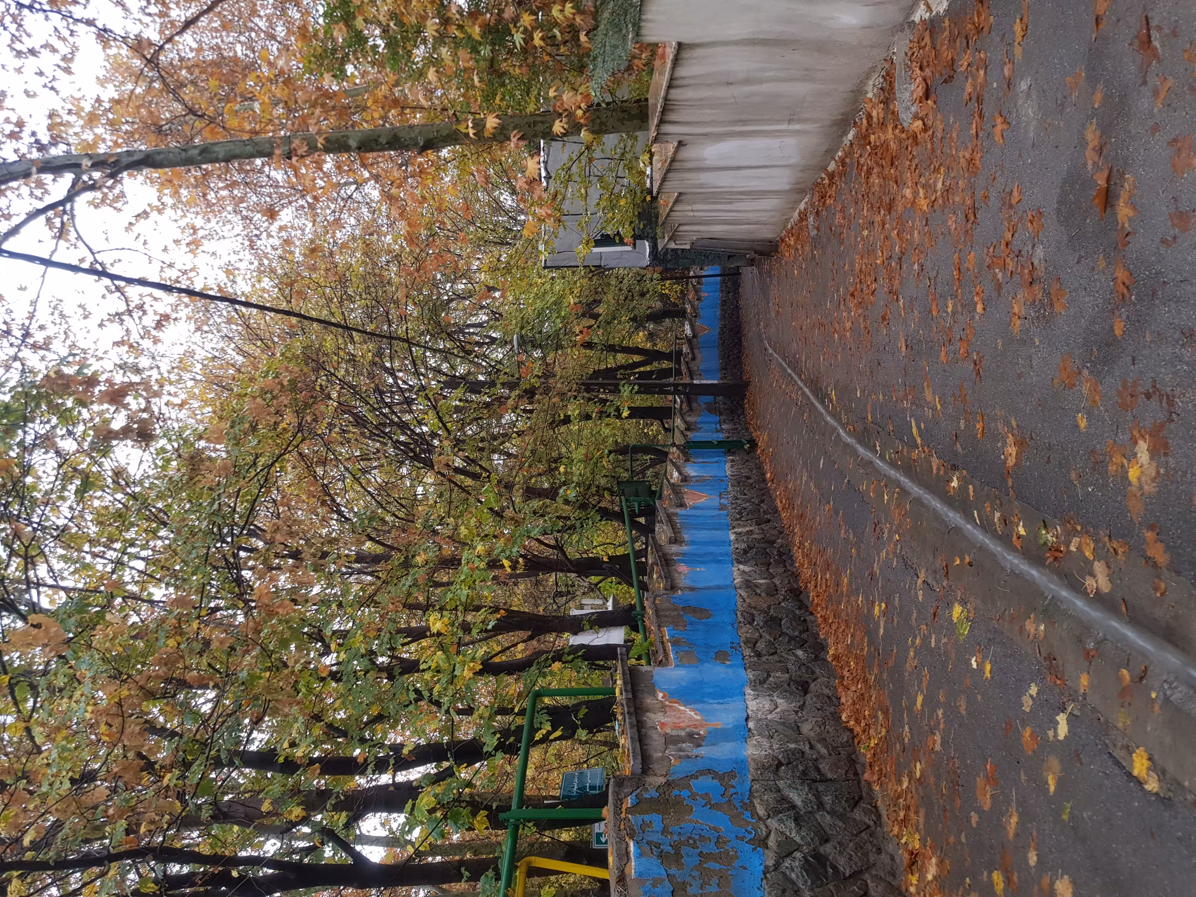 Wet Autumn