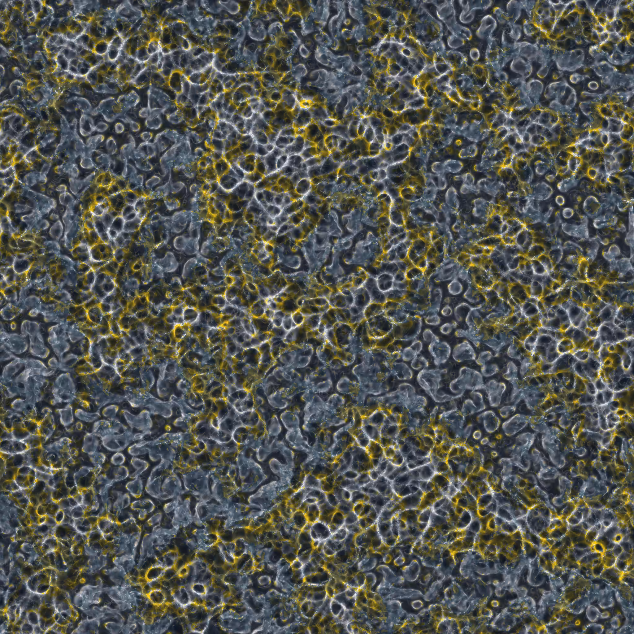 saprophyte #83