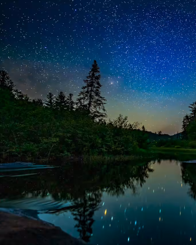 Adirondack Forest - Milky Way Galaxy Reflections