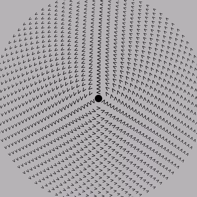 Dizzy Wheel #14