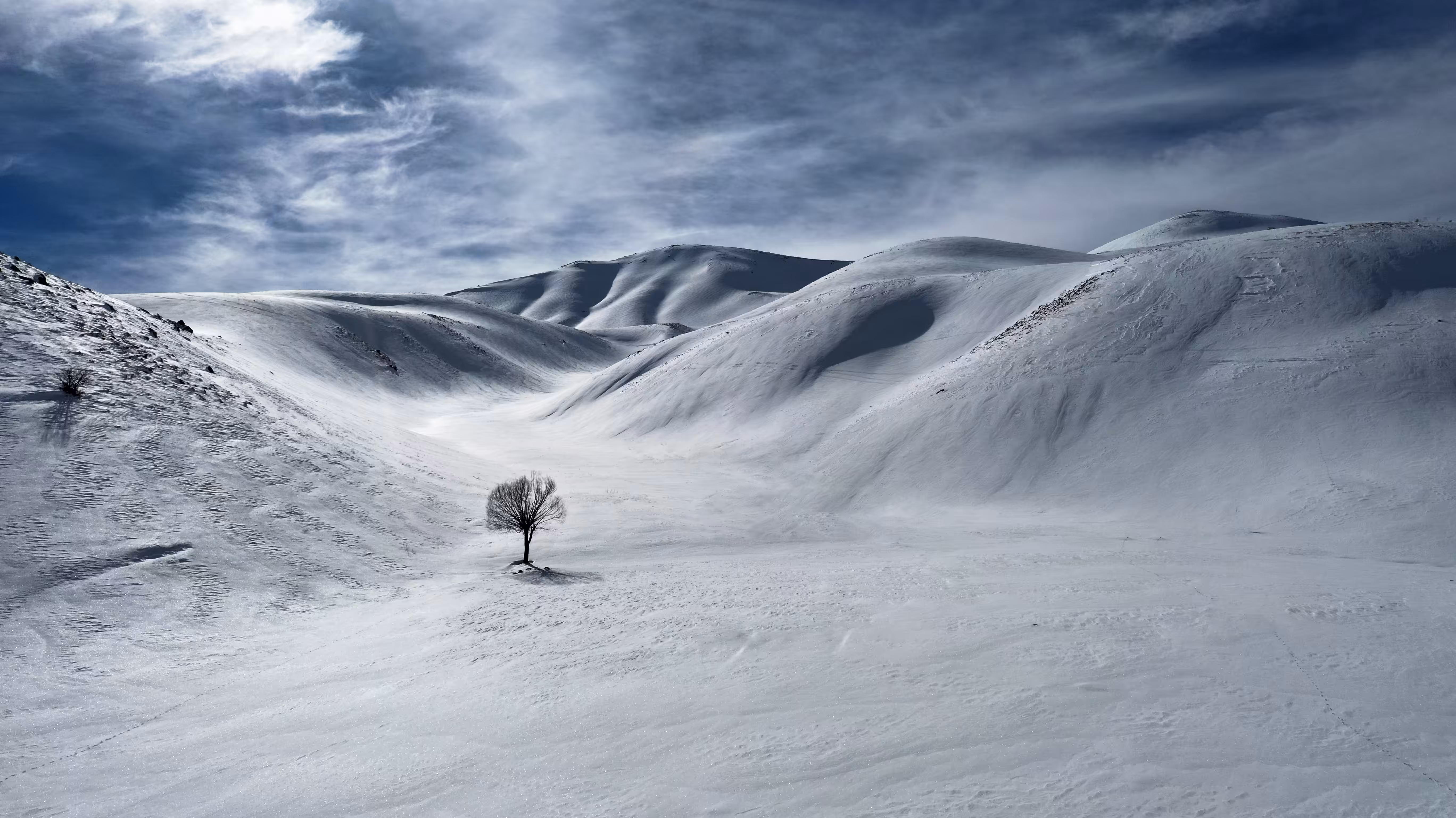 LONELY