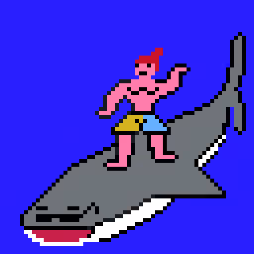 Motley Surfer #8