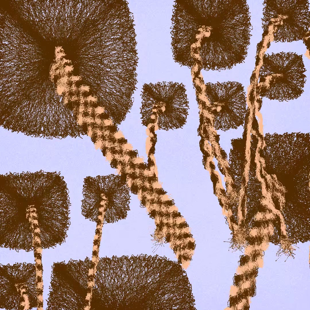 Beauty Supply Is Out of Du-Rags: A Personal Synthesis of Protection and Timeless Style #61