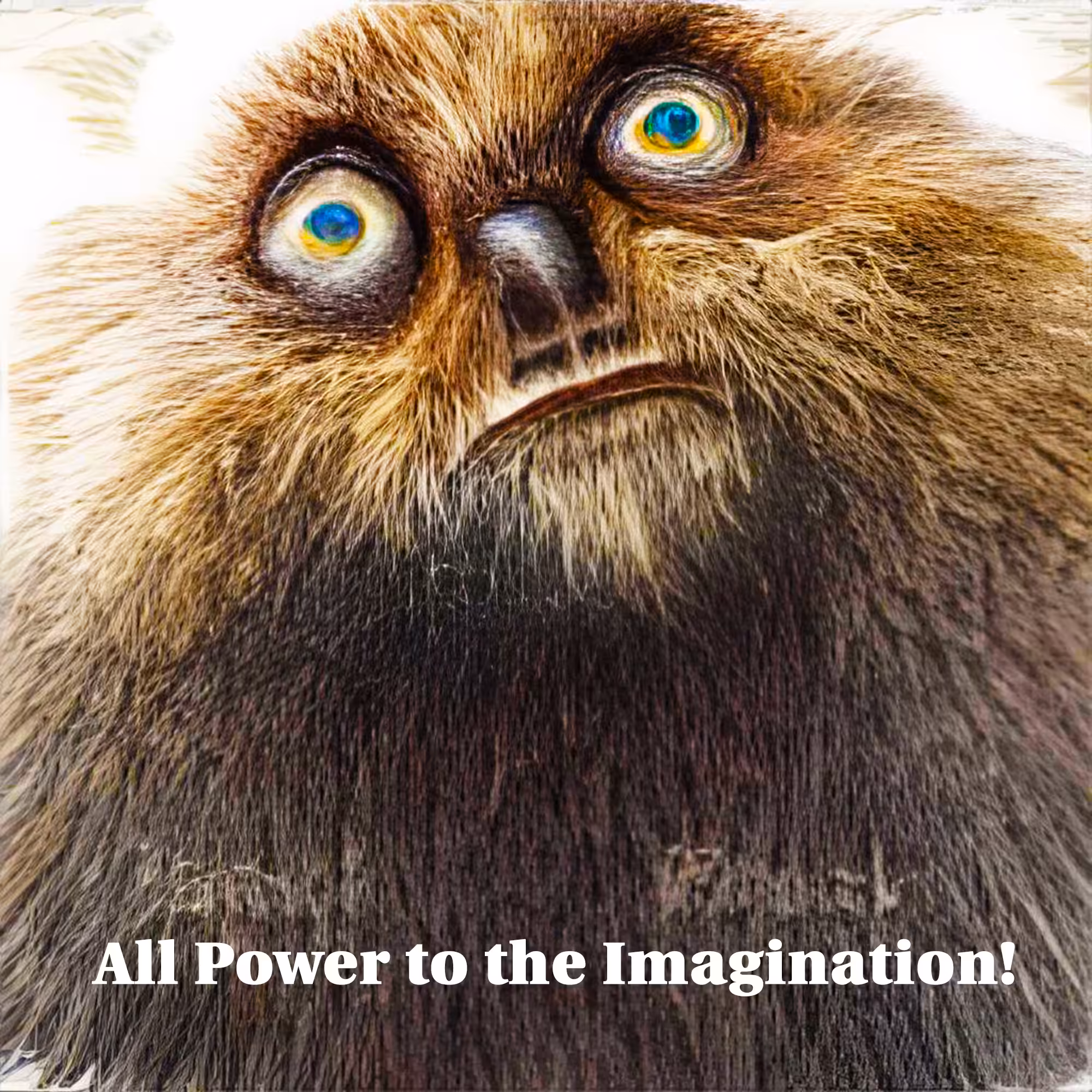 Revolutionary Groundhog Day 8:12 PM