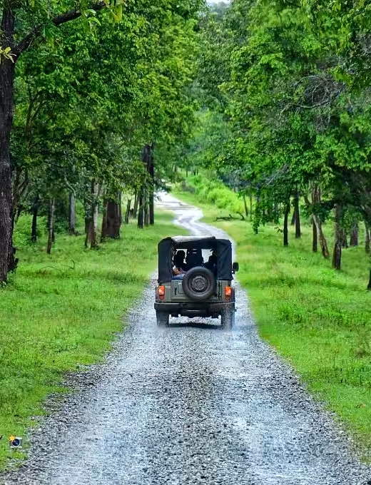 NAGARHOLE WIDLIFE SANCTURY #2