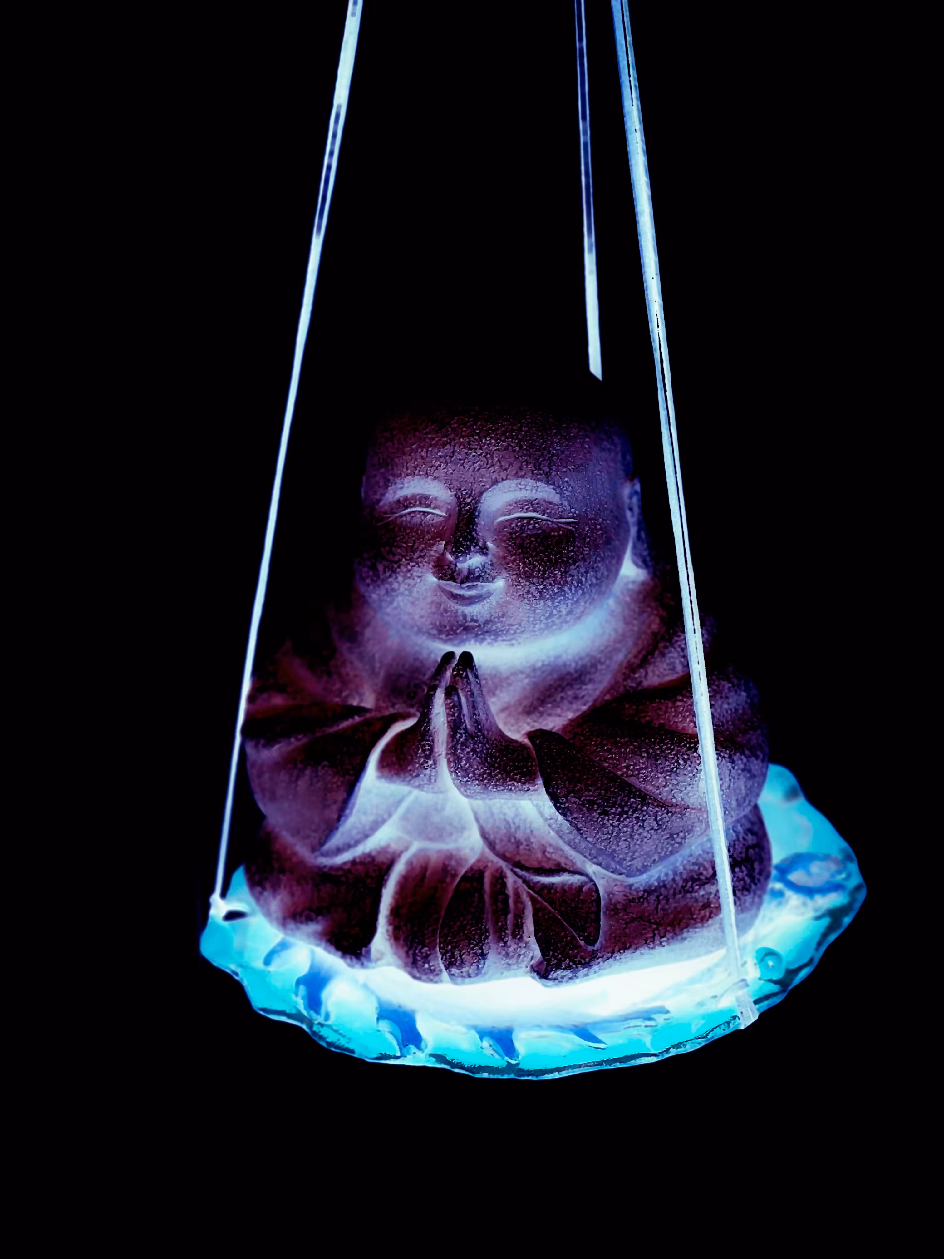 Trippy Buddha