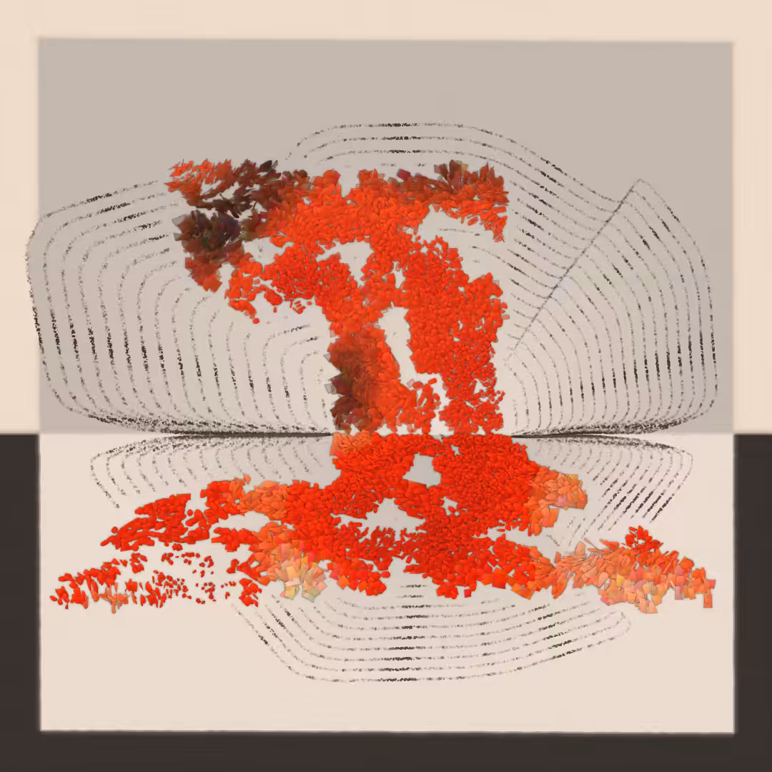Hintperflections #25