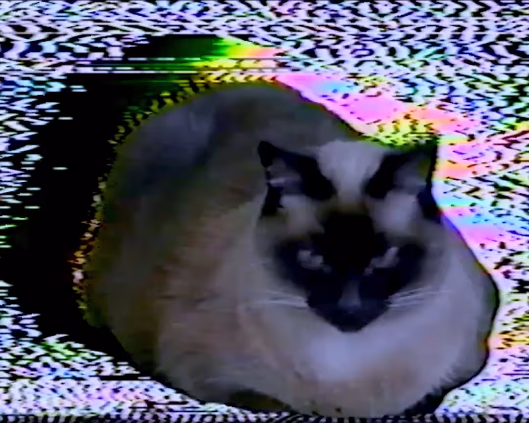 Space Loaf