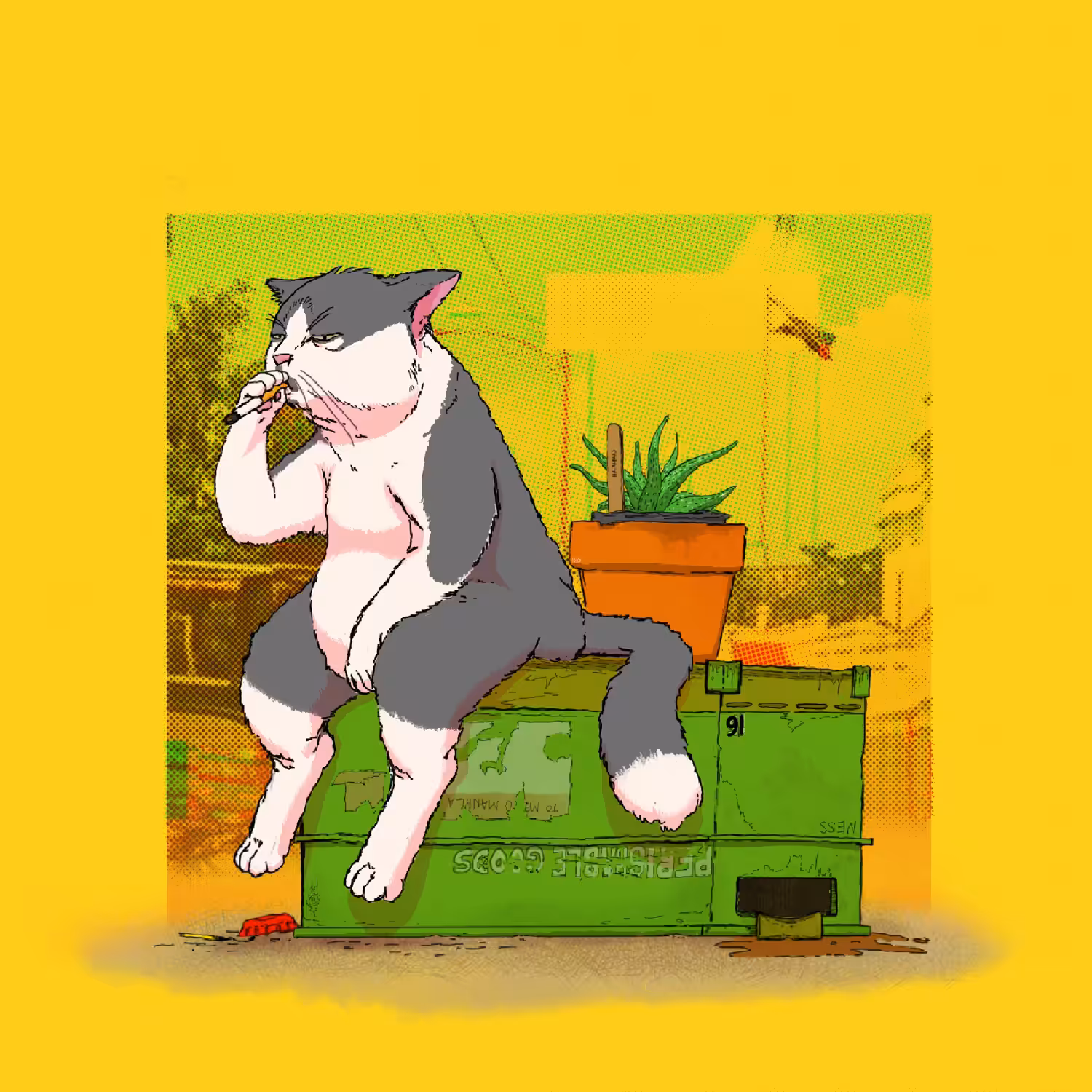 #015.5 _ Just The Cat