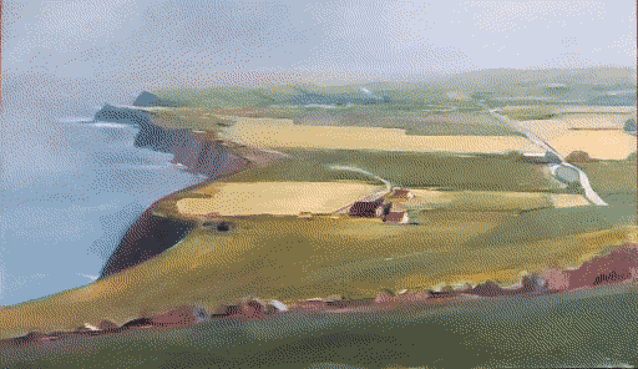 The Coast