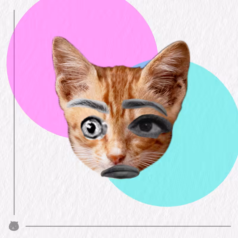 Kittenstein #65