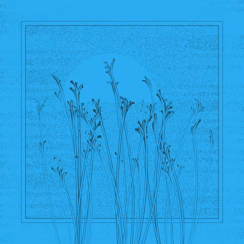 string_pllu #46