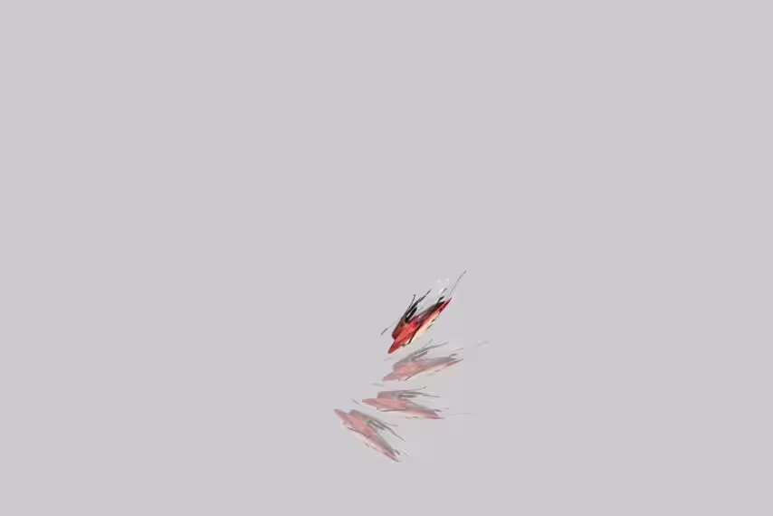 Cycle