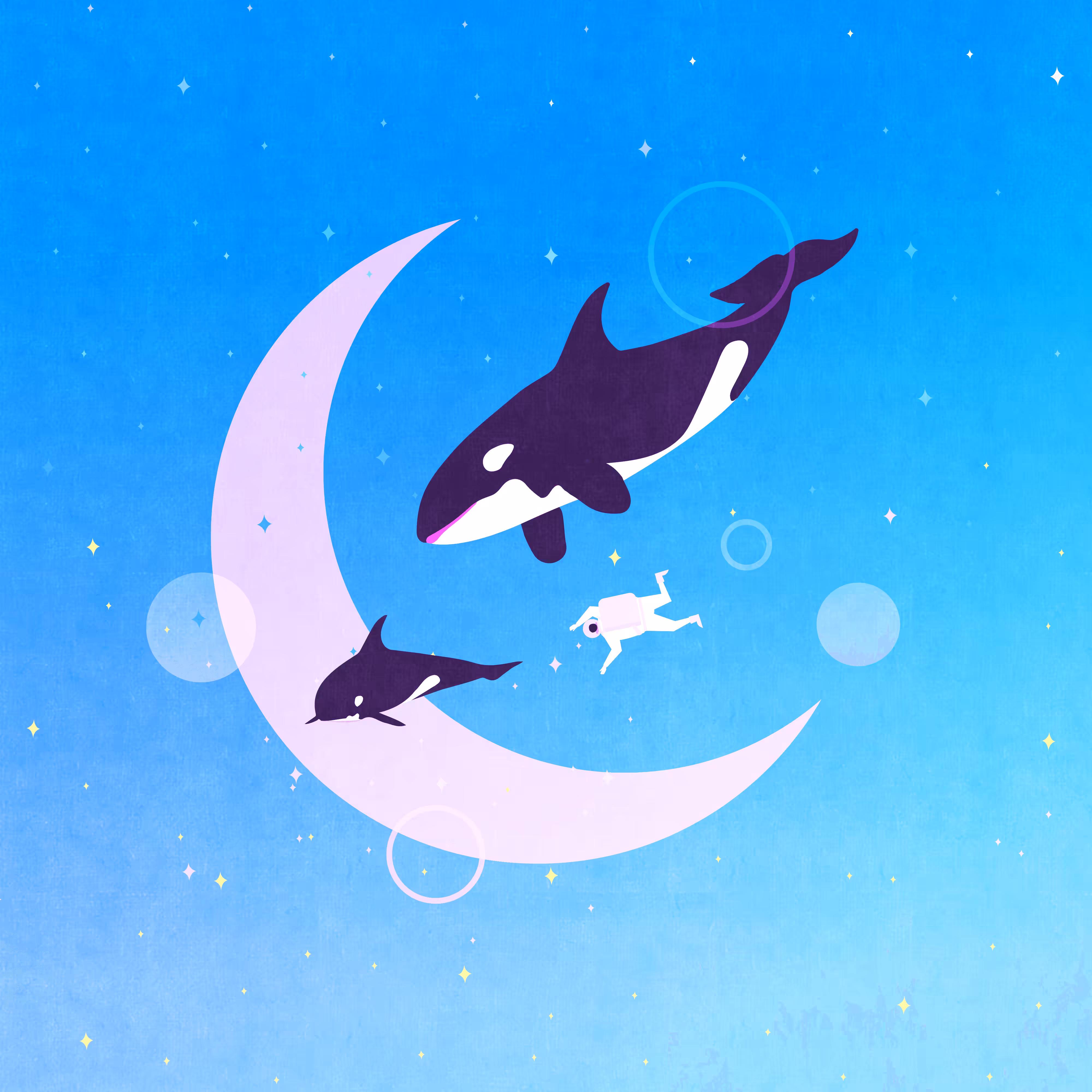 Dolphin dream