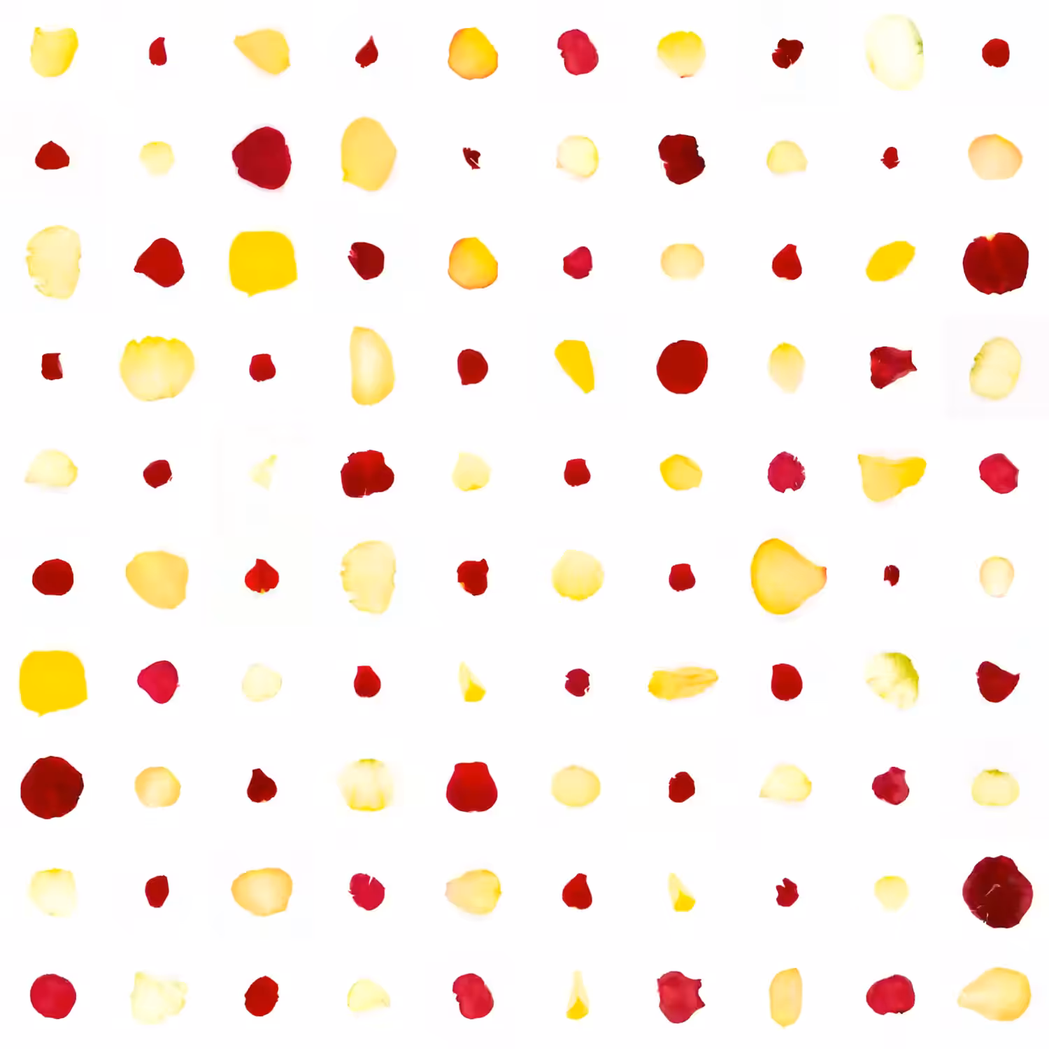 Infinite Petals 10x10#2184