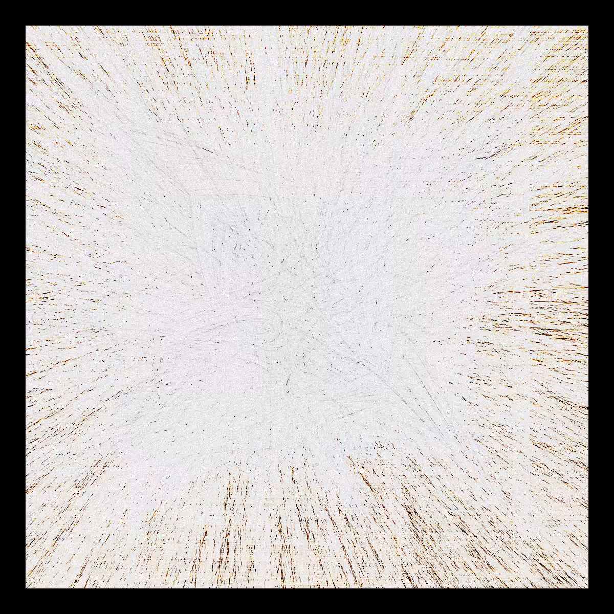 Discovery #4