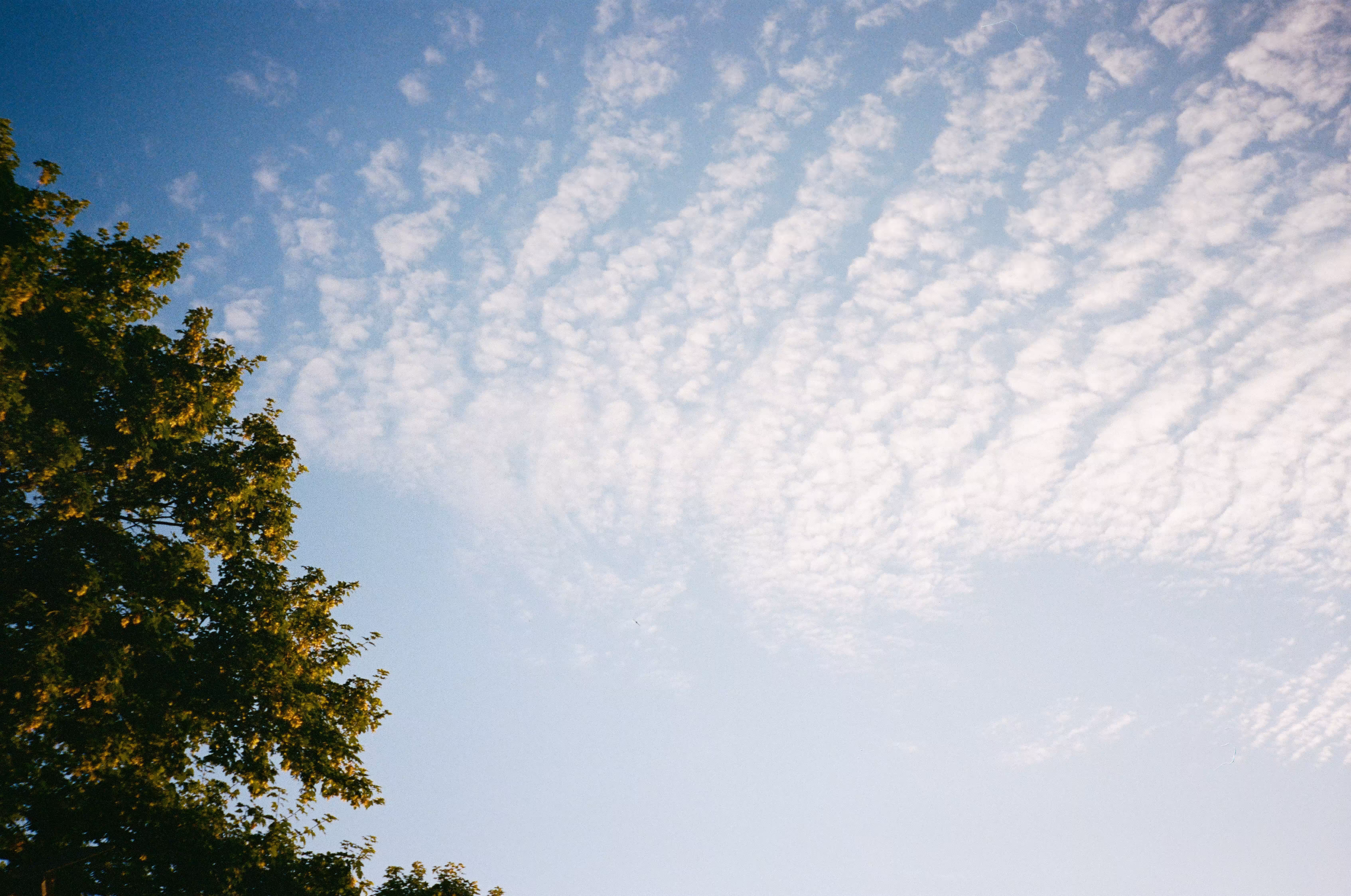 Rodeo posts: Cloud watching