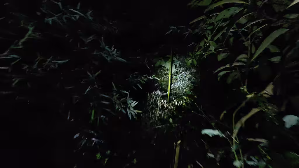 Materia Oscura: In The Way Out
