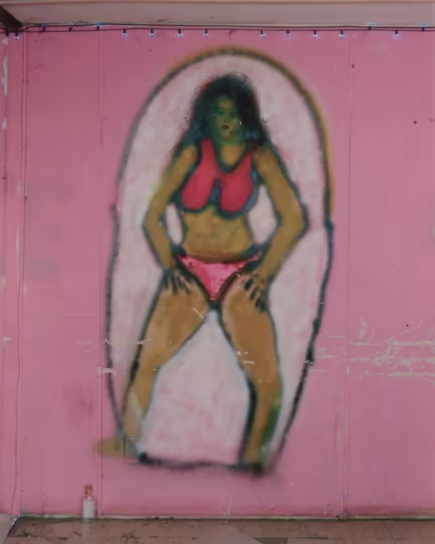  #54 Pink Graffiti by Alec Soth from Dissolutions (Sleeping by the Mississippi)