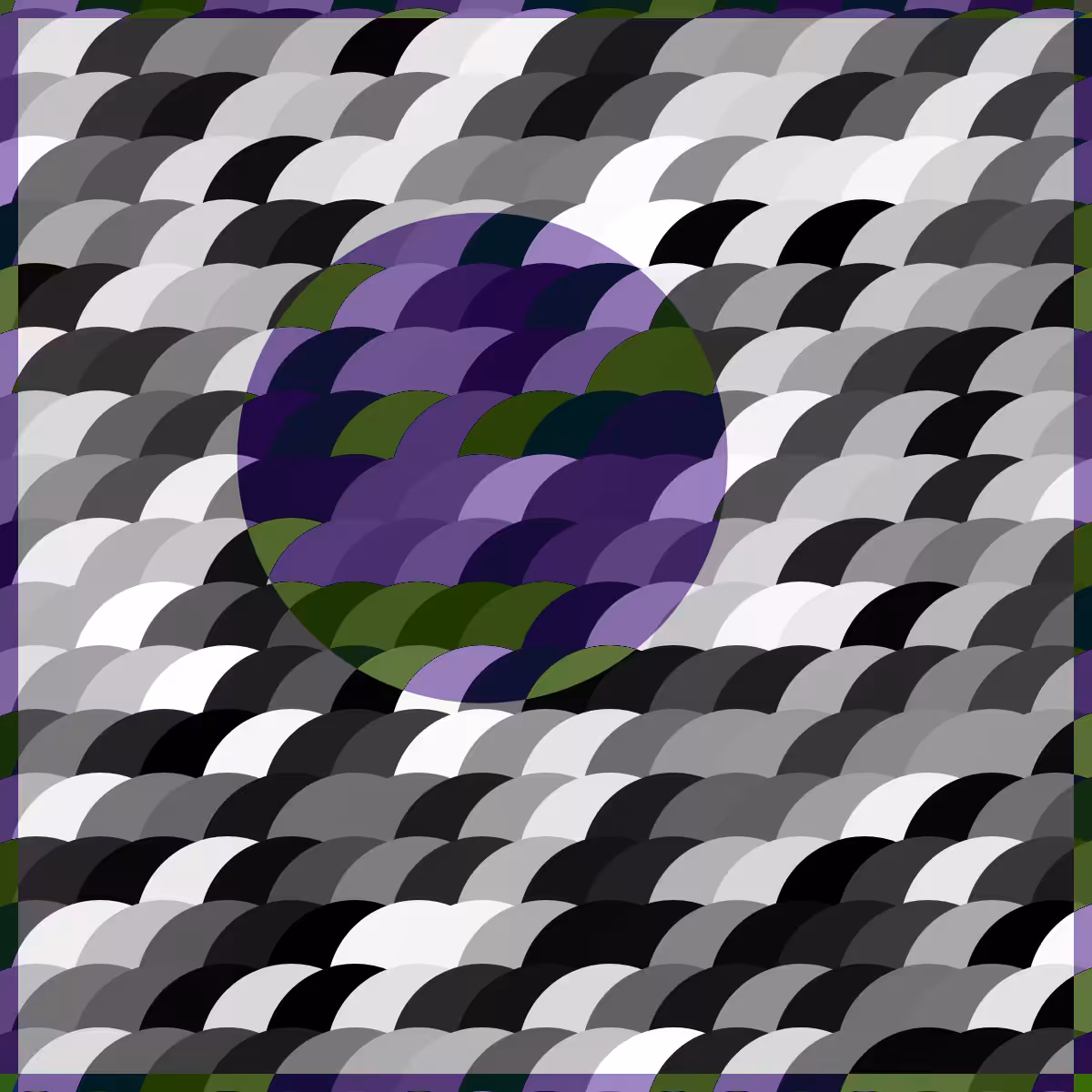 Magnify #15