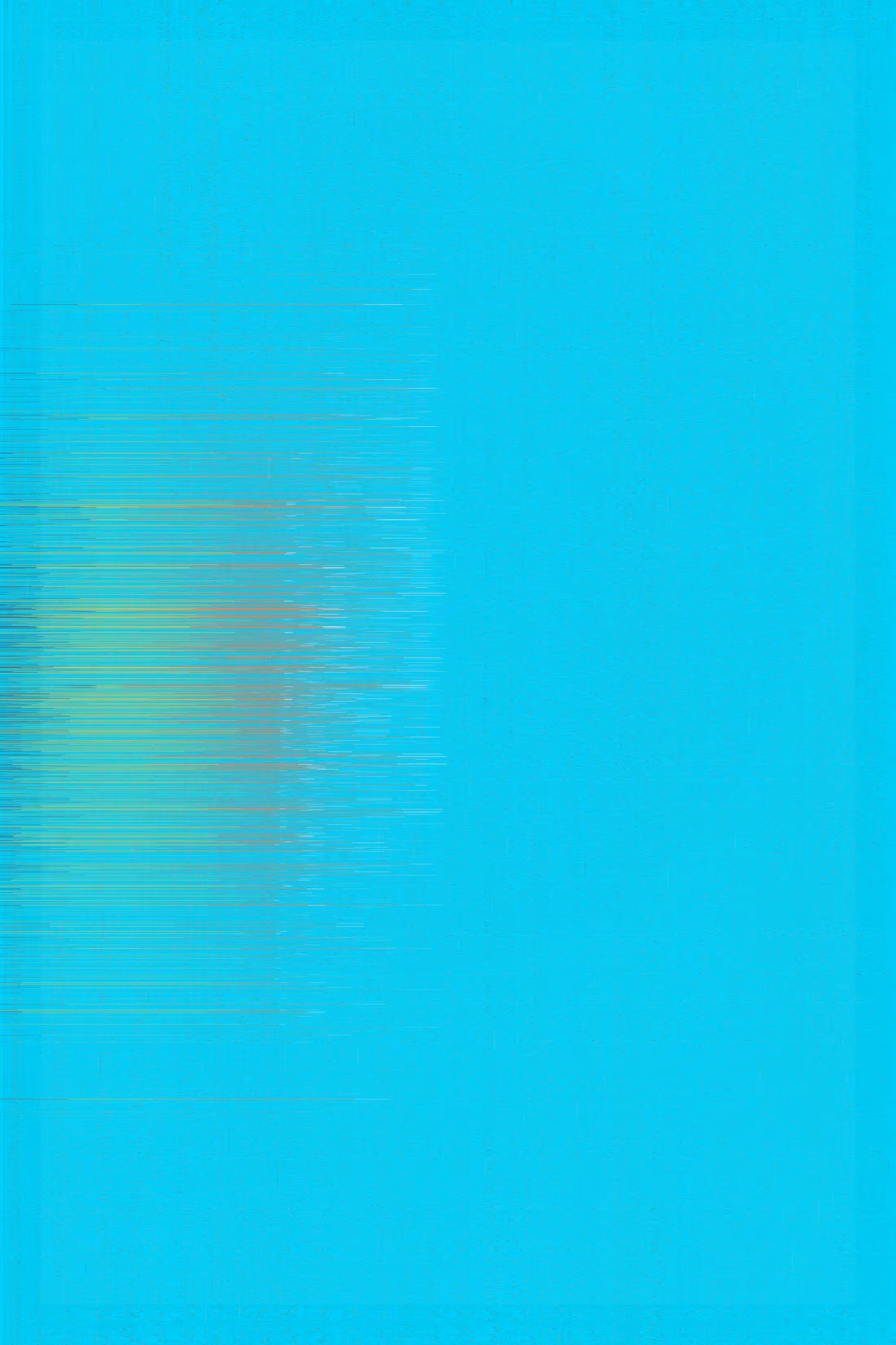 Apertum #110