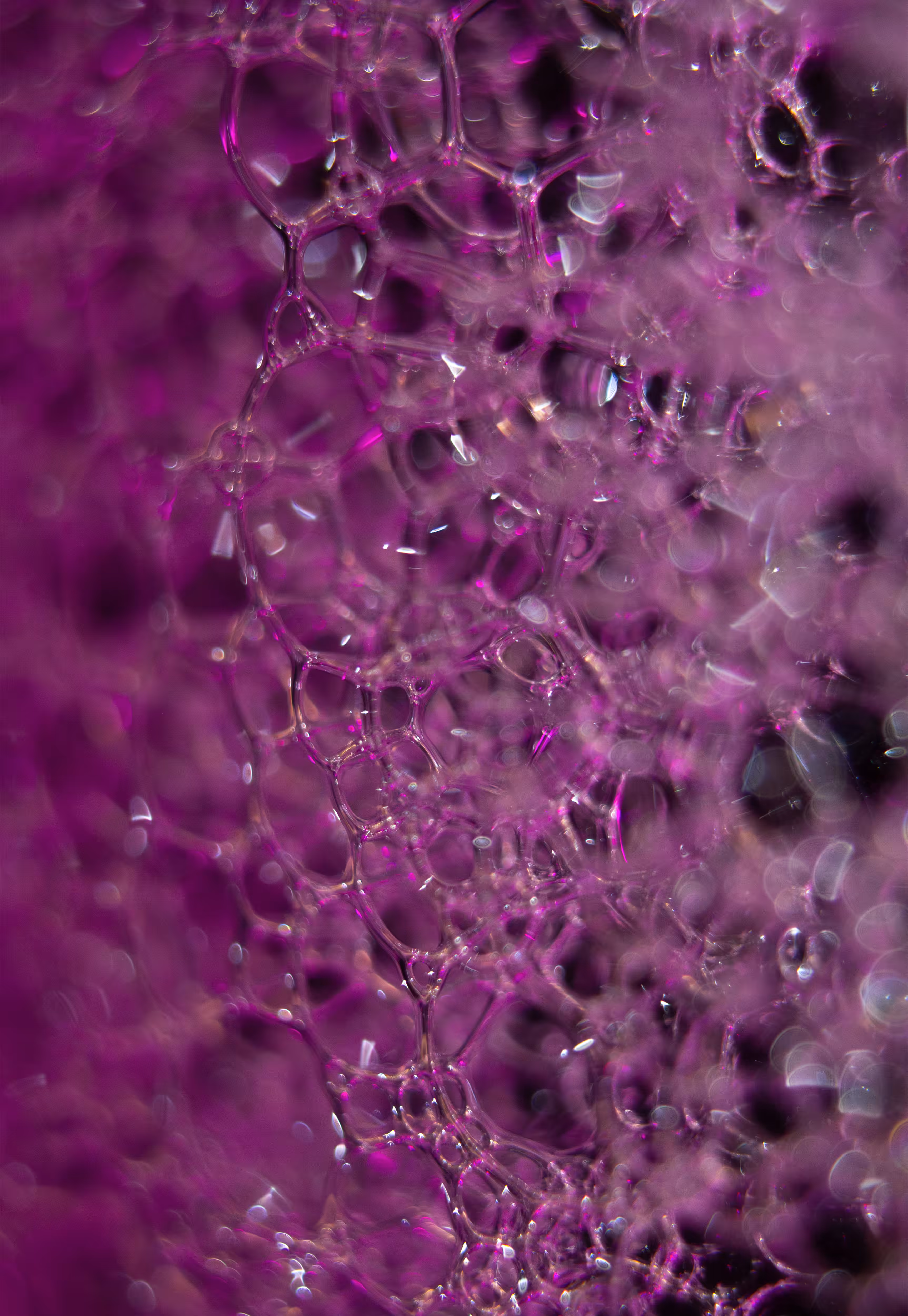 Abstract World of Soap Bubbles: #20 Bubbles