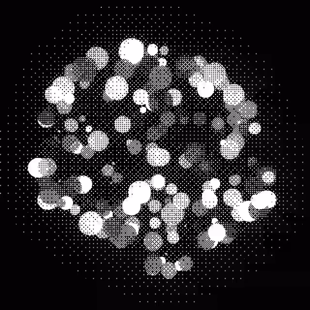 Rodeo posts: monochrome organelles ⚫ ⚪