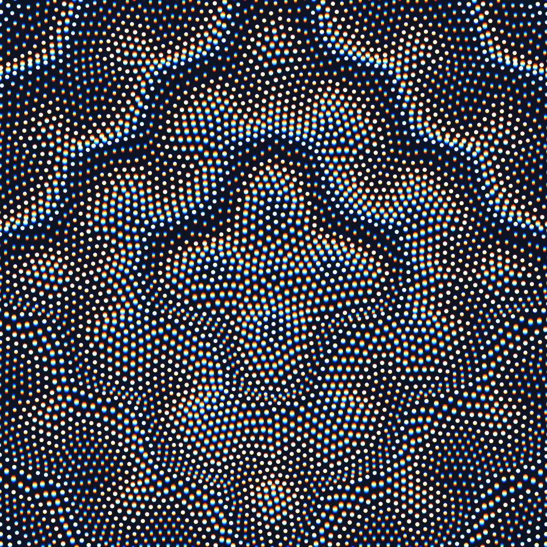 bloom 1