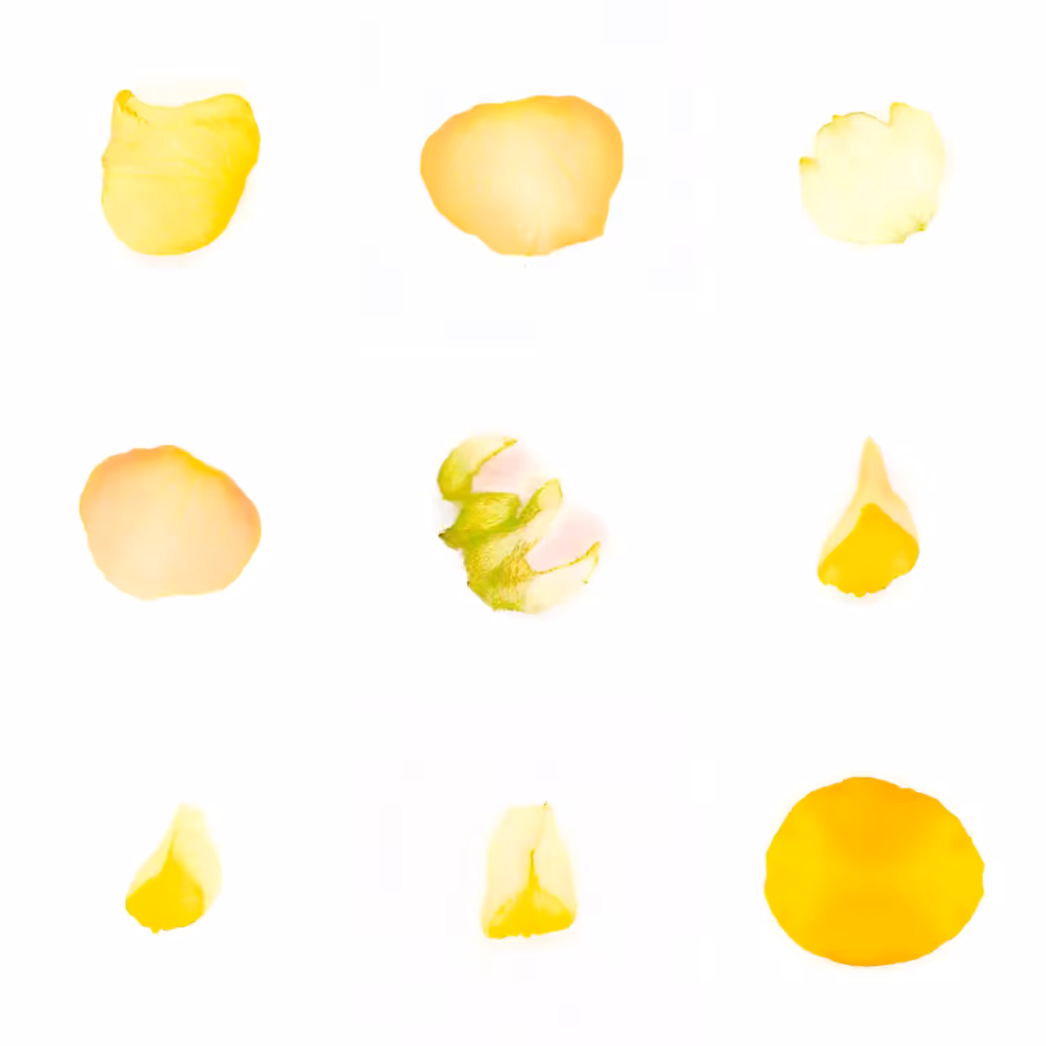 Infinite Petals 3x3#4205
