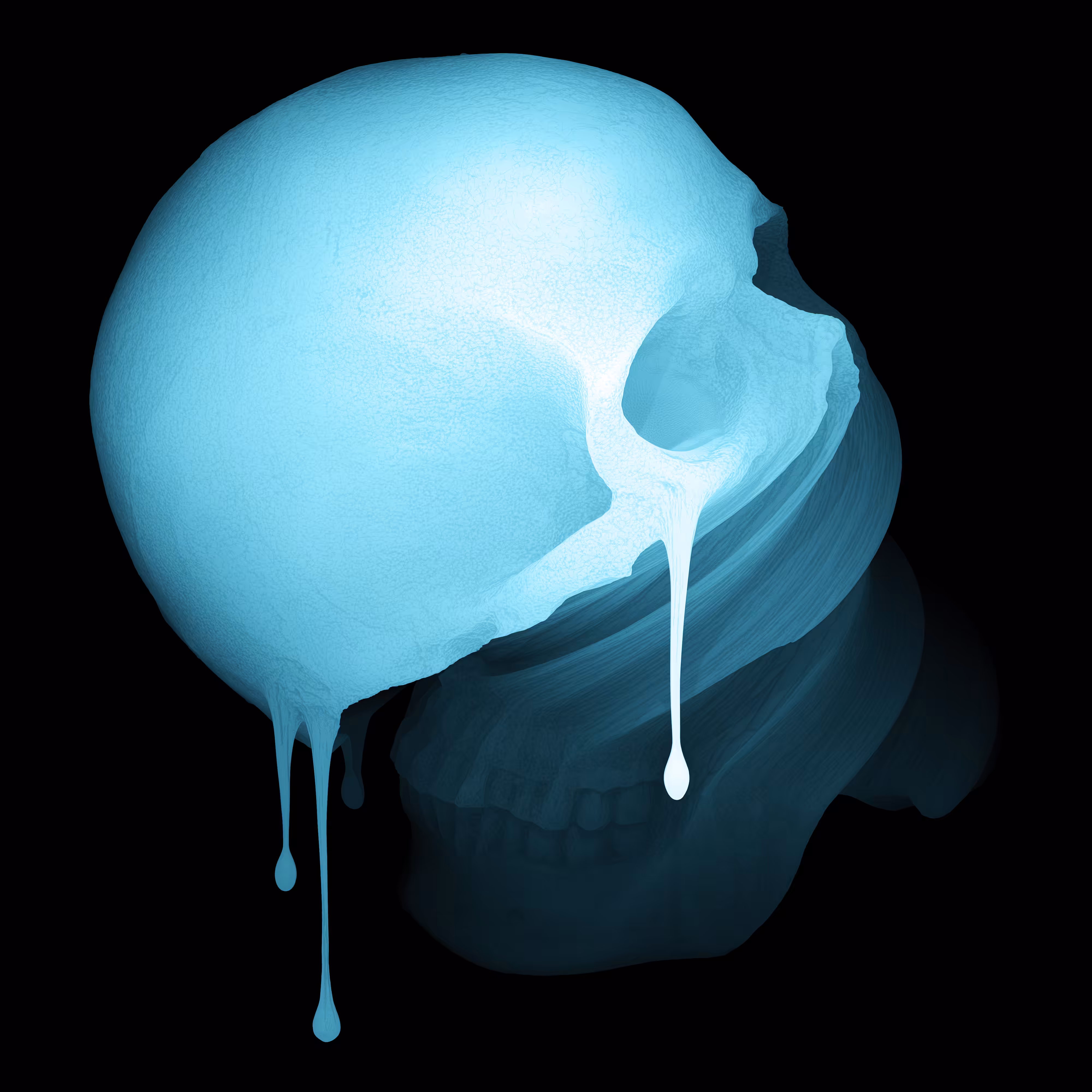 Skin Hodlr #03 (X-ray)