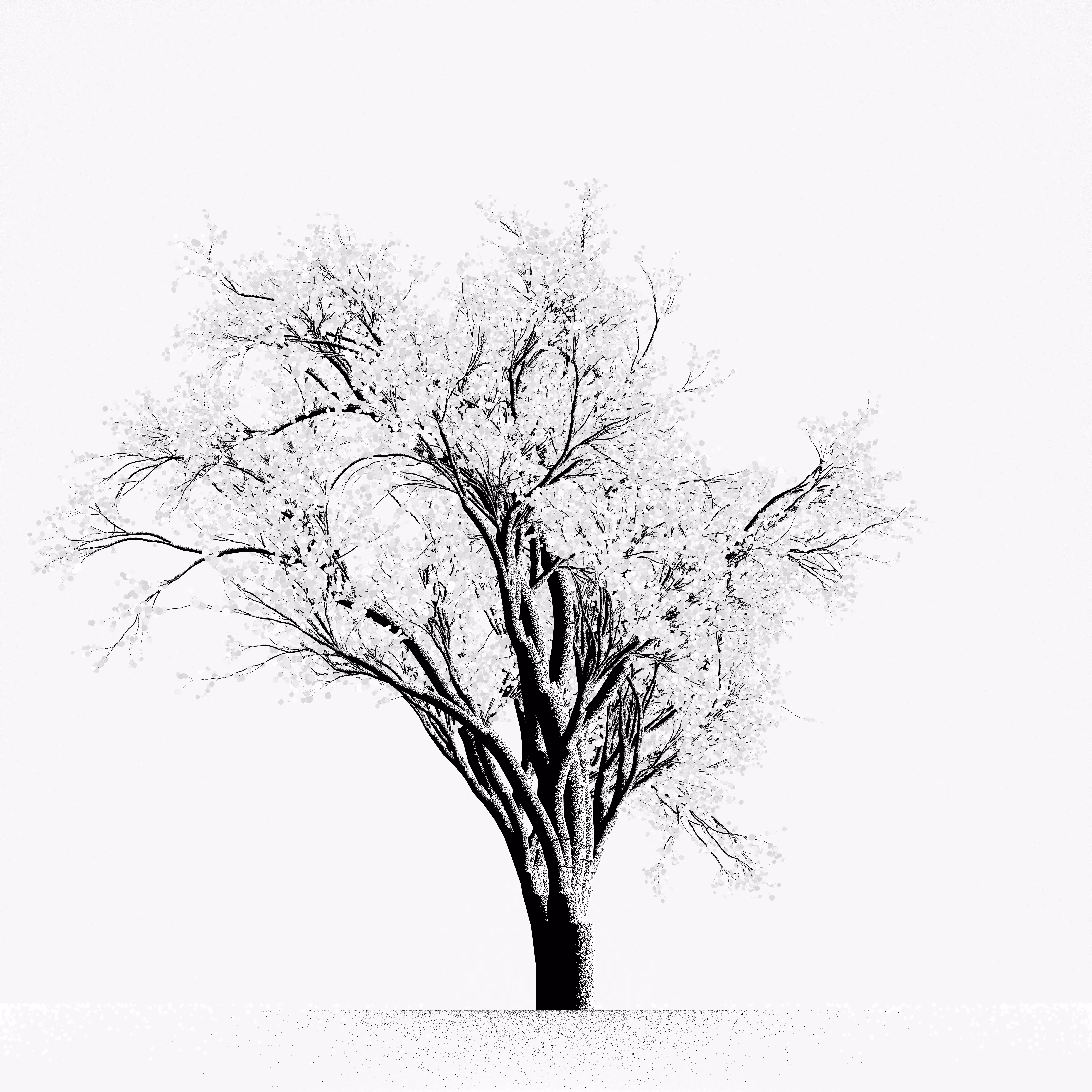 Snow Tree #45