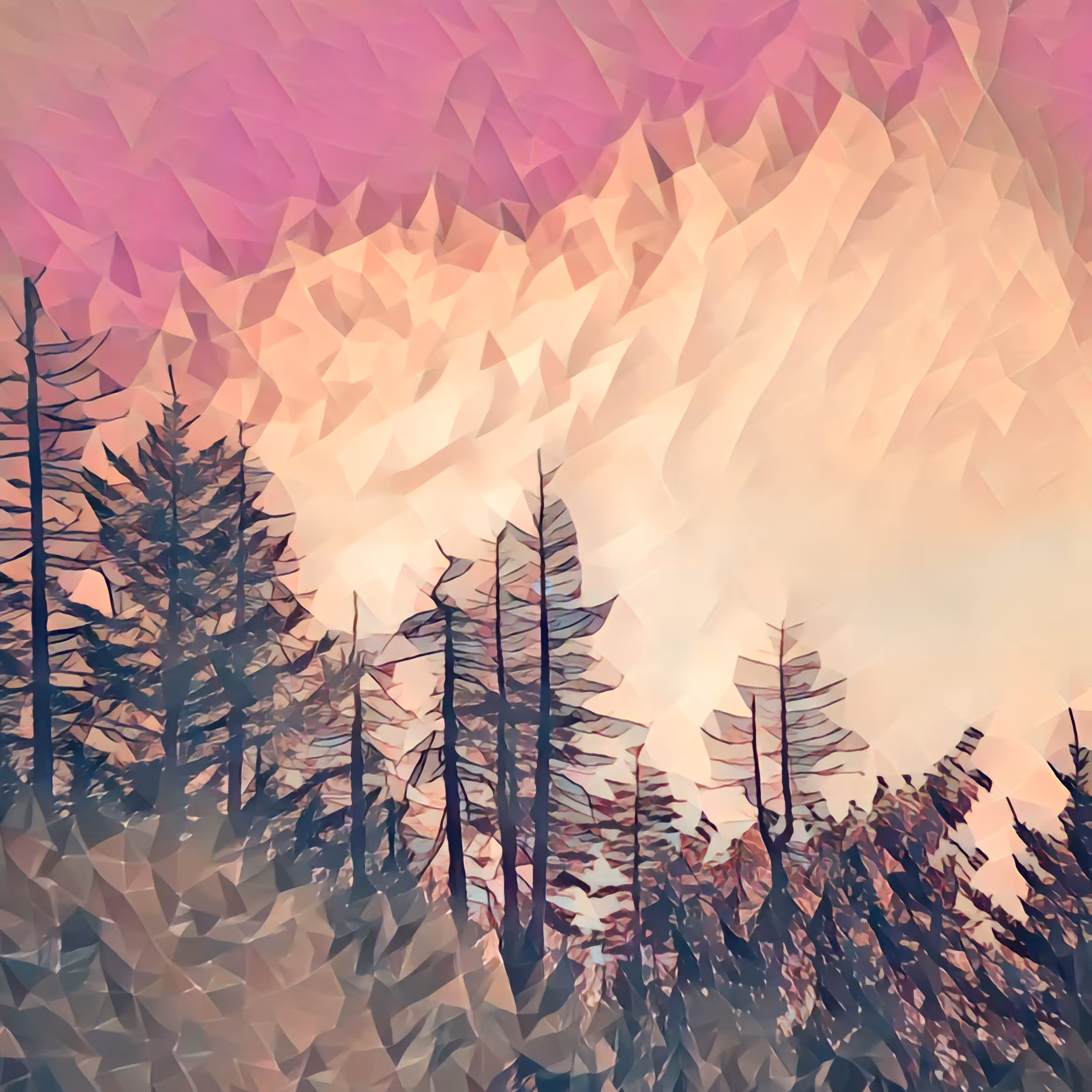Cottonwood Canyon Poly