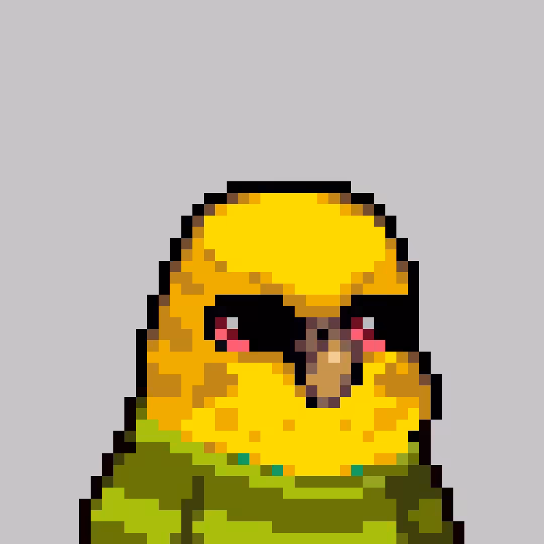 Lovebirds: Lovebird#1351