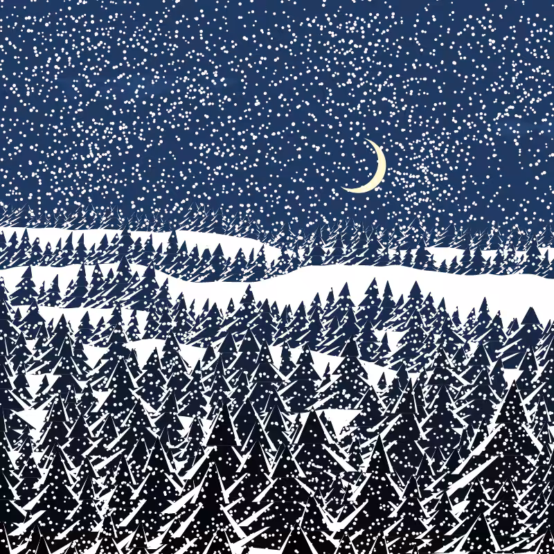 Winterland #204