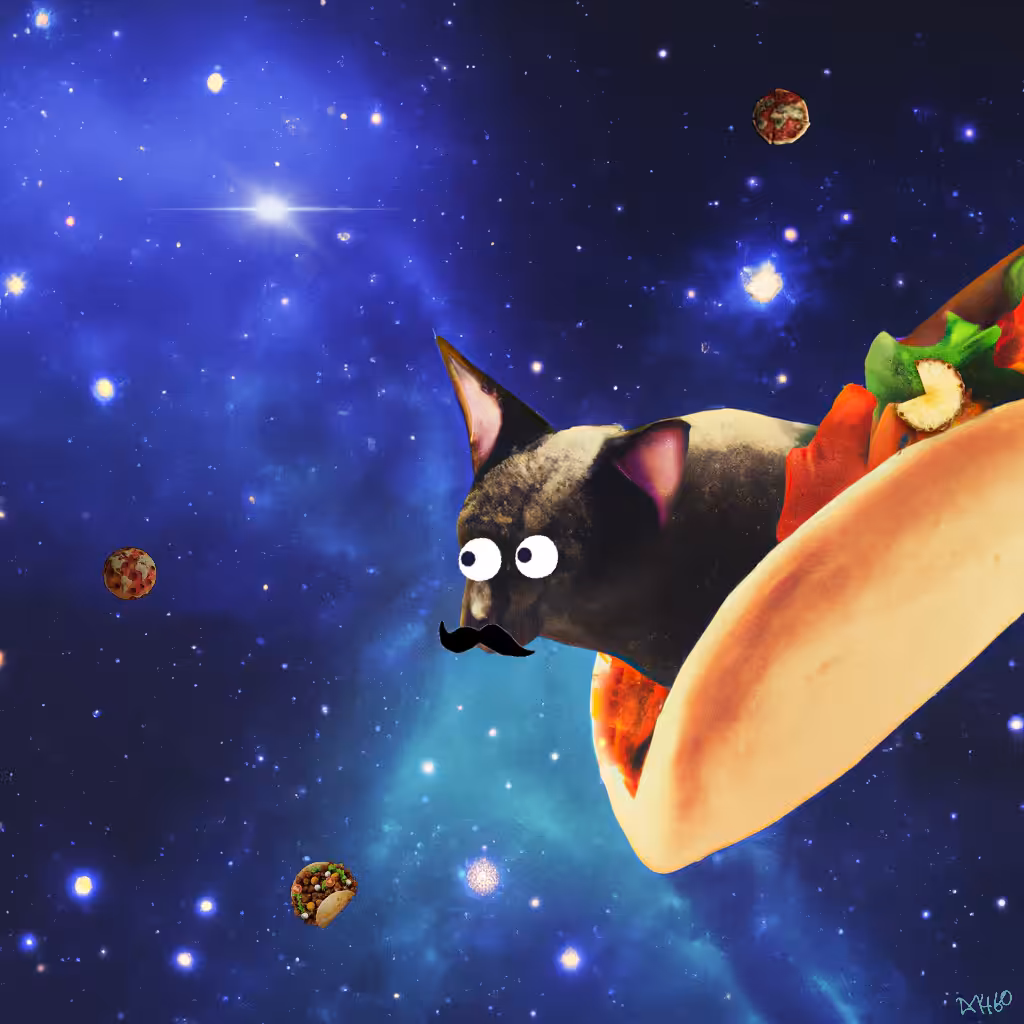 🌮😼 Taco Space Cat on Secret Mission