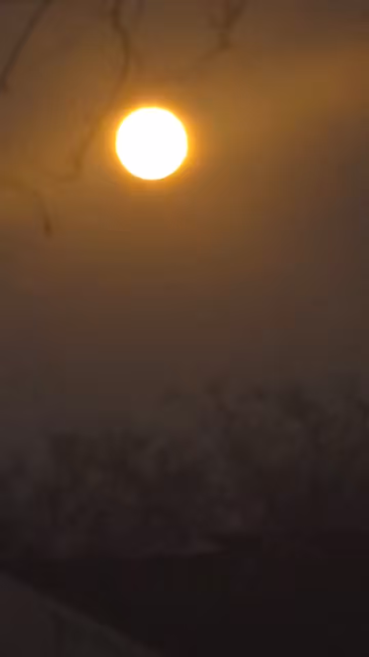 Pink Moon Video 4-12-25 at 8:45pm
