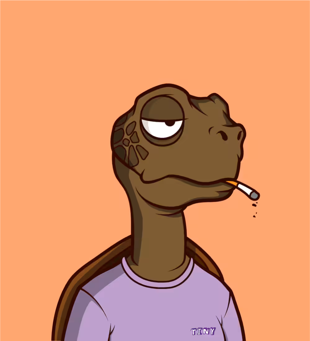 Tiny Turtle 71