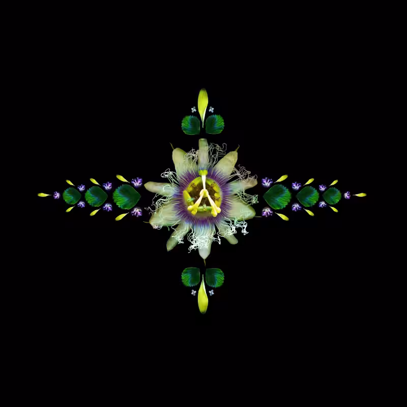 LIBRA -the star-