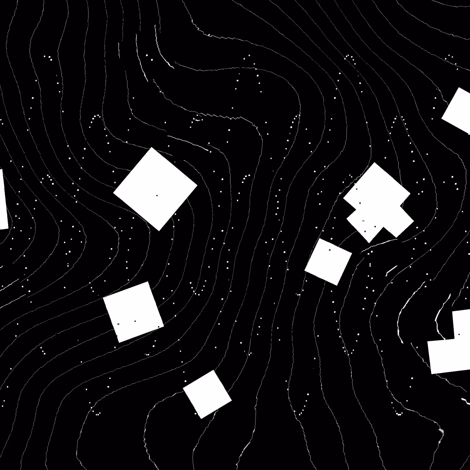 BEES in the "V01D" TRAP / untitled 001
