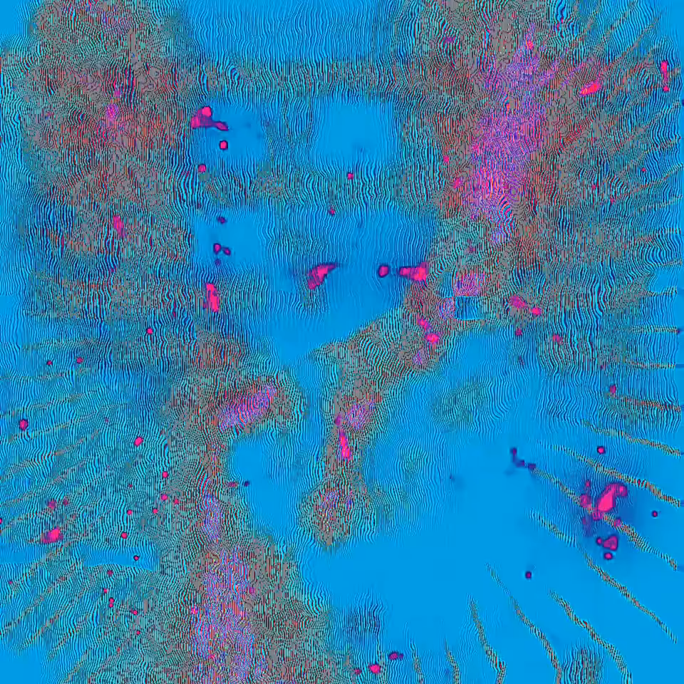 001. what they say