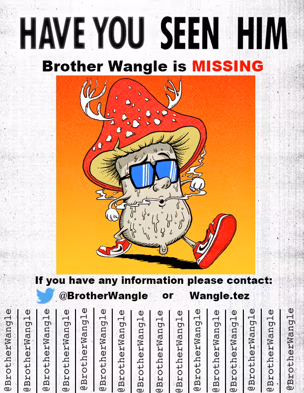 Missing Wangle 45