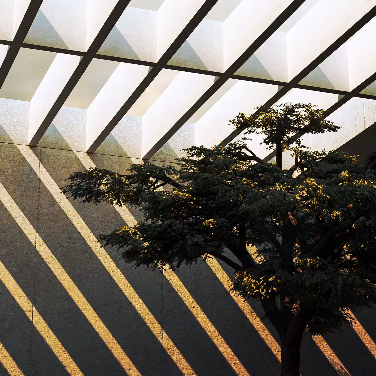 08-02-19 // EXHALE