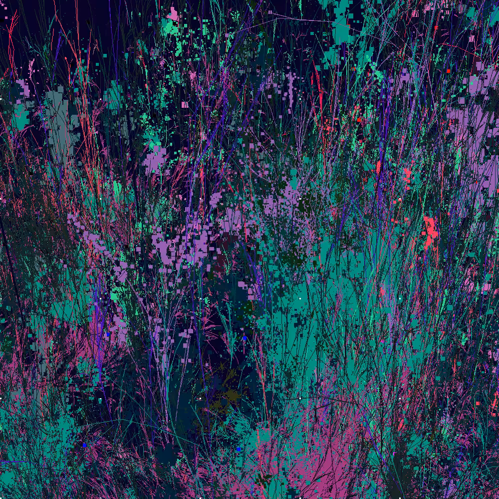 Infinite Garden: 76065 Flowers